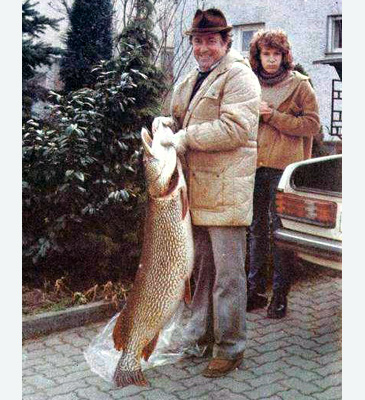 Record photograph for Esox lucius